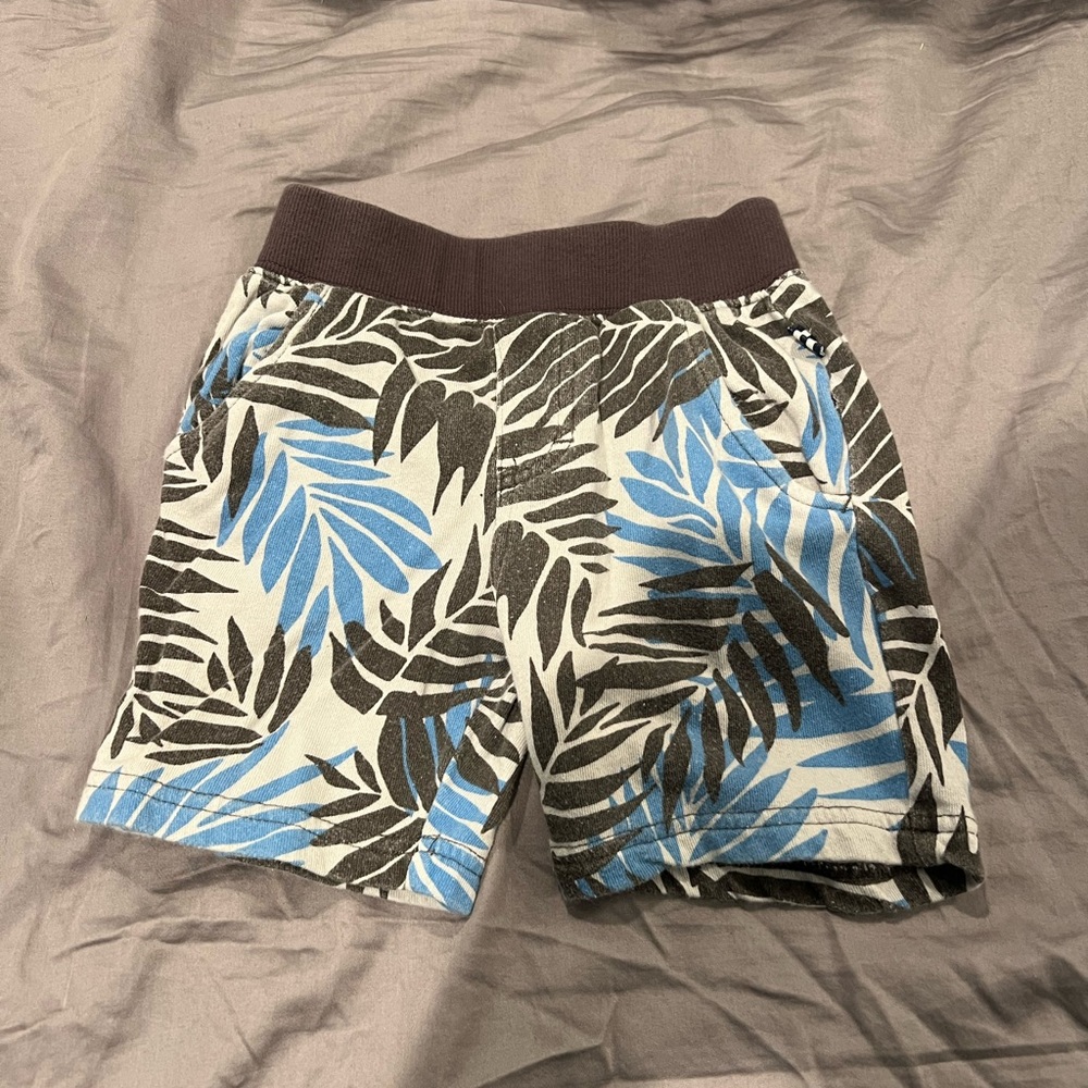 Splendid boys shorts